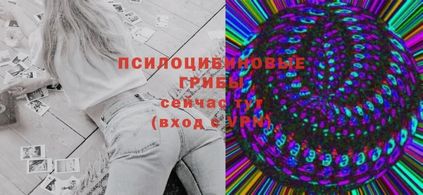 Альфа ПВП Бородино