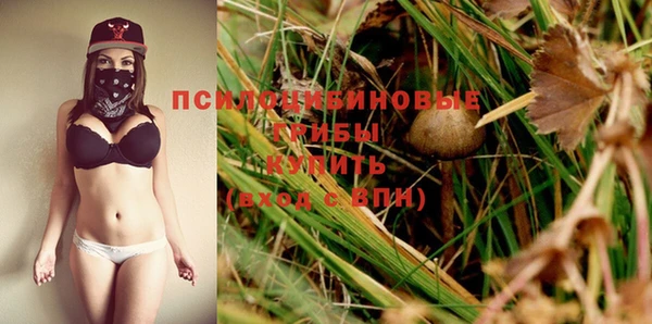 Альфа ПВП Бородино