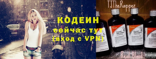 Альфа ПВП Бородино