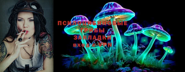 Альфа ПВП Бородино